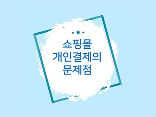 쇼핑몰 개인결제의 문제점