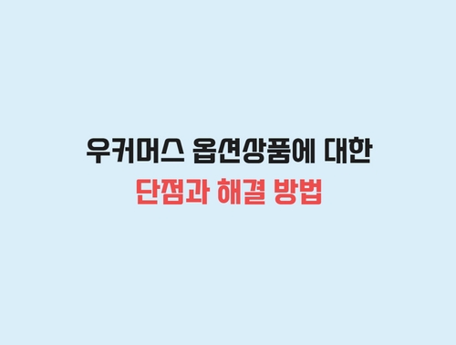 우커머스 옵션상품 등록의 단점과 해결점