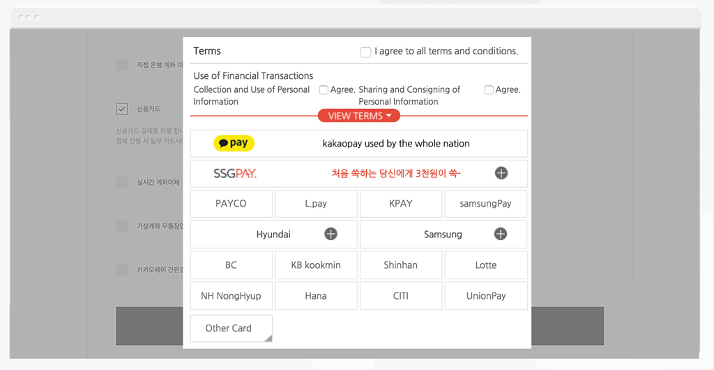 결제창 언어 설정 – 영어 선택 화면