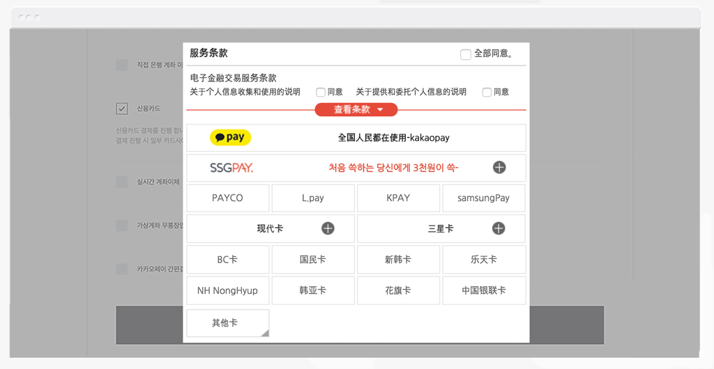 결제창 언어 설정 – 중국어 선택 화면
